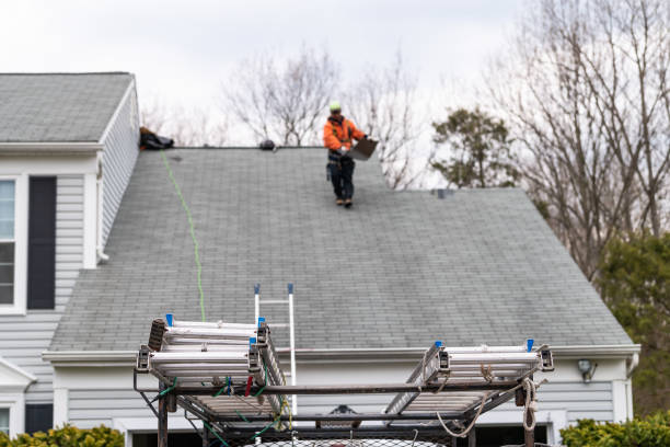 Upgrade Your Roof & Power Your Home – Sun Coast Hudson
